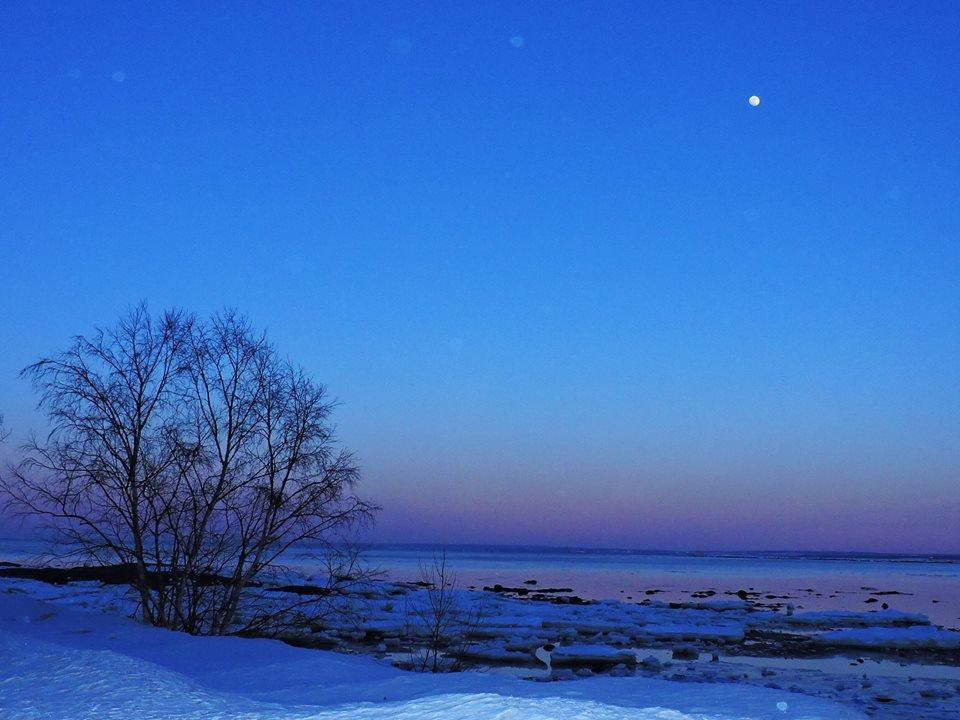 Motel De La Pointe Aux Bouleaux Baie-Sainte-Catherine Esterno foto